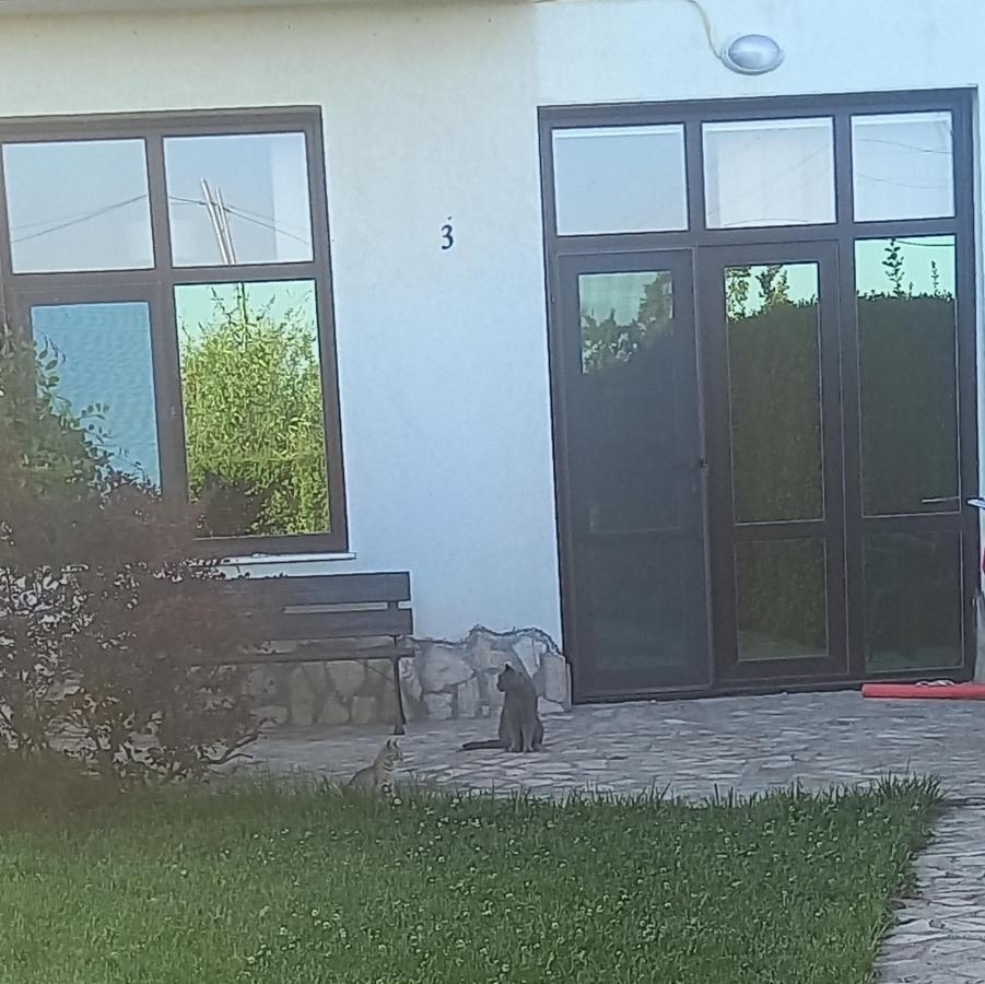 Villa Ketli Apartment Bliznatsi Buitenkant foto